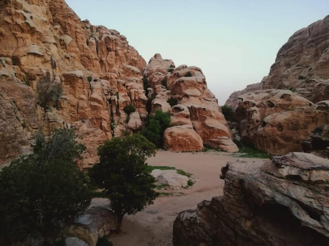 Euphoria Guest House Wadi Musa Bagian luar foto
